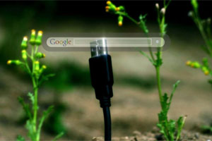 USB Plant