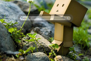 Danbo with Flower