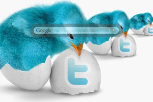 Twitter Chicks