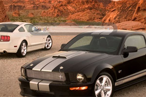 Shelby GT
