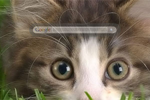 Cat looking at you...