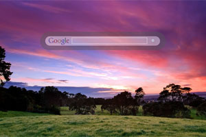 Beautiful Sunset
