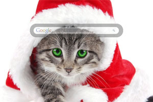 Santa Is A Cat