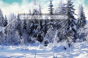 Snowy Paradise