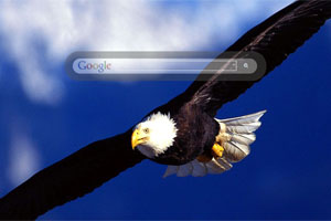 An Eagle On Final Approach