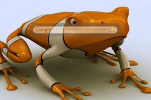 Orange and White Frog
