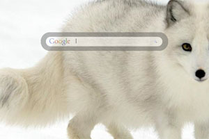 White Fox