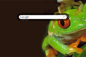 Frog on Frog