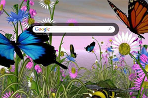Beautiful Butterflies