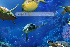 Turtle of the sea