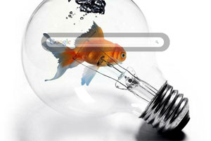Goldfish in a Lightbulb