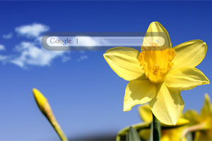 Daffodil Sky