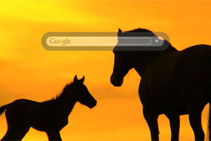 Horses in Sunset