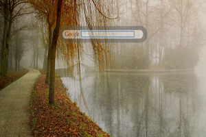 Fall by Lake