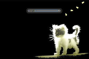 Kitty Cat