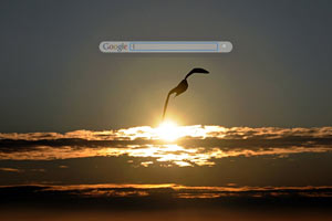 Johnathan Livingston Seagull