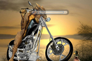 Motorcycle Lizard